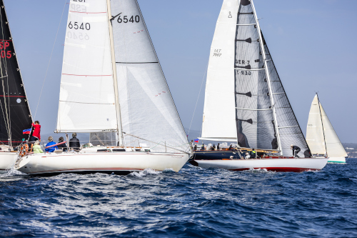 palmavela-f211-c2ab-aea2-88afe247055e