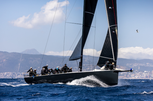 Palmavela-fbcc-e6fe-05b6-877d8445e40d