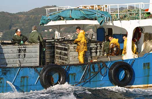 Prestige_diciembre05_04