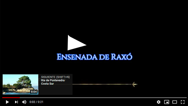 raxo_video