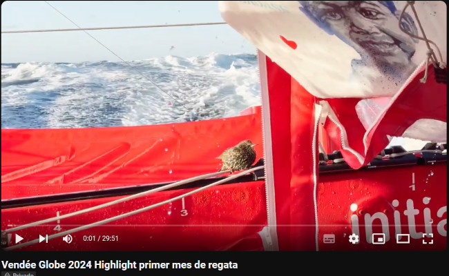 VG_lPrimer mes de regata