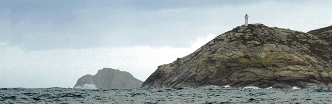 xosta-alta_5917
