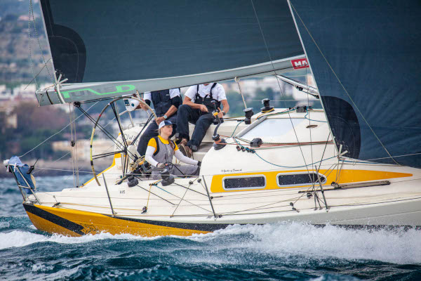 yellow Rose Ganador Golden Cup Badalona