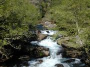 Río Almofrei. Pontevedra