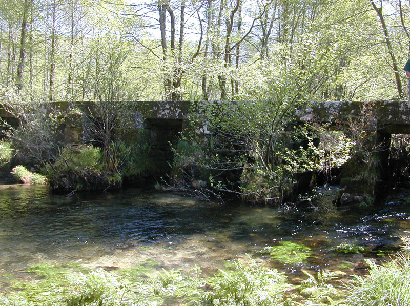 Río Almofrei. Pontevedra