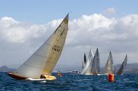 Bribon, vencedor en Sanxenxo en la primera regata del Circuito Nacional de 6m 