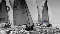 Nextel campeón del Trofeo Avia de J80 celebrado en la bahía de Santander