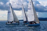 ‘Marbella Team’ gana y recorta distancias en Sotogrande