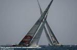 Ceñida clásica de Americas Cup