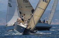 Experto, Slainte, Formidable y Caballeros, vencedores en la Copa Provincial de Gandía
