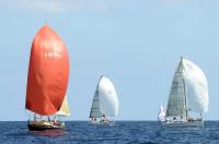 La XXV edición del Trofeo SAR Príncipe de Asturias para  Felipeva VI, Hauraki”, Jilorio, Hubara y Coli