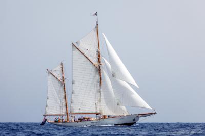 Cariad: un coloso con 130 años de historia