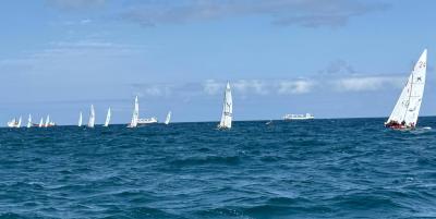 La mitad de la flota se retira en un complicado Concurso Guaguas Municipales